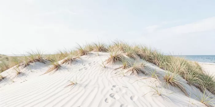 Grass and Sand