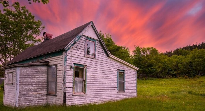 All In The Past - Newfoundland art print
