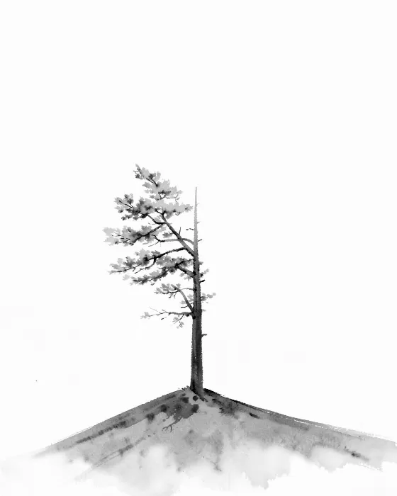Pine Ridge III