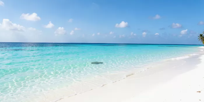 Caribbean Shelf