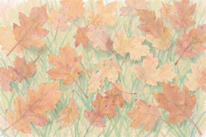 Fallen Leaves