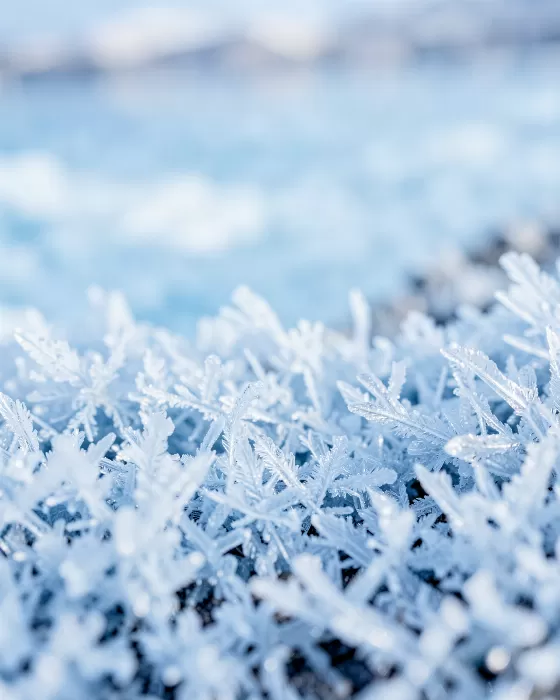 Frozen Shoreline