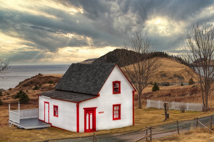 Cribbies Rays - Newfoundland art print