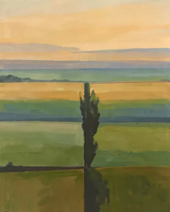 Field Lines