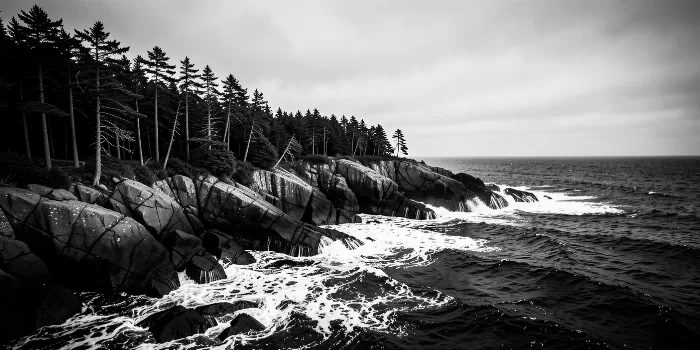 Surf Ledge
