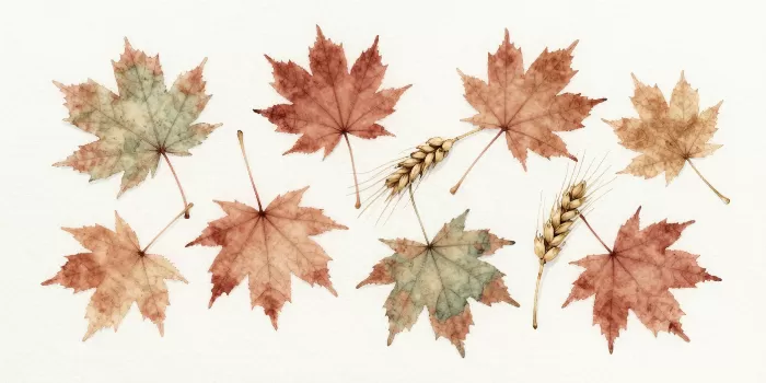 Maple And Wheat