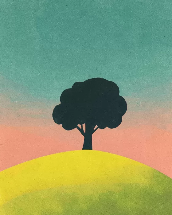 Hillside Solitude