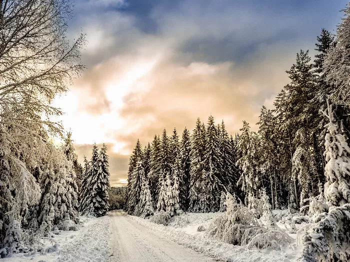 Hagfors Sweden