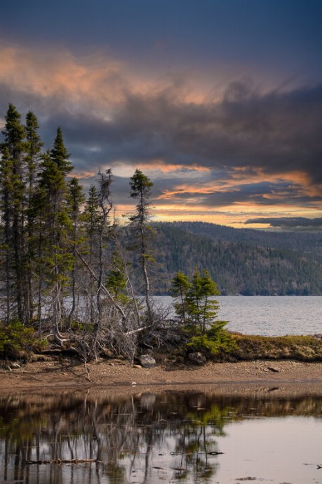 Newfoundland Parks - Newfoundland art print