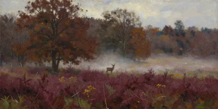 Autumn Stag