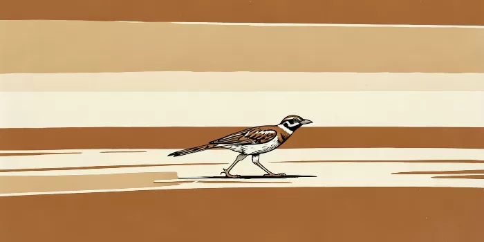 Roadrunner