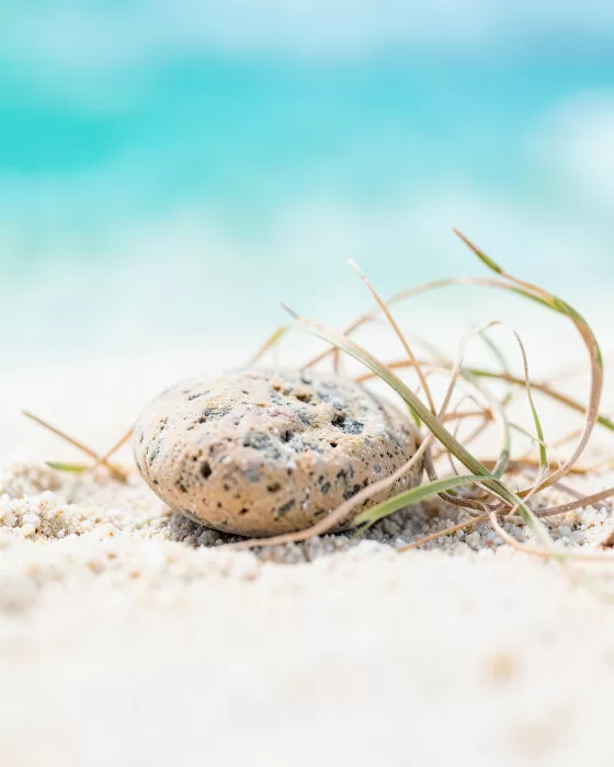 Shoreline Pebble