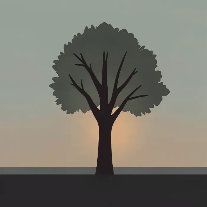 Sage Silhouette