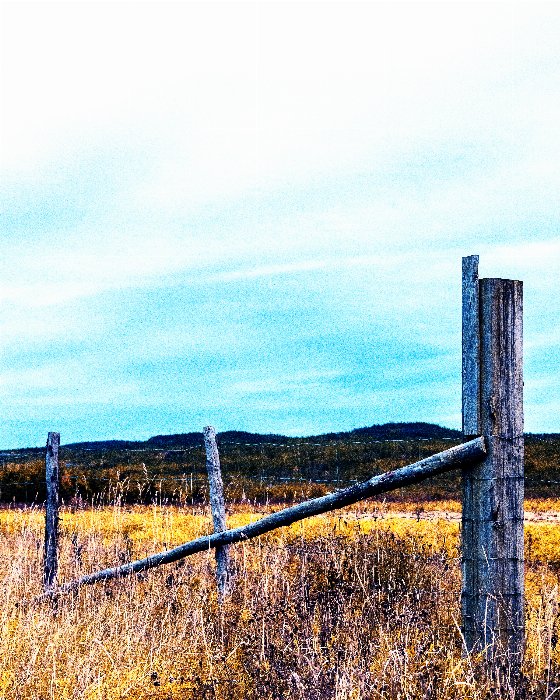 End Of Seasons - Newfoundland art print