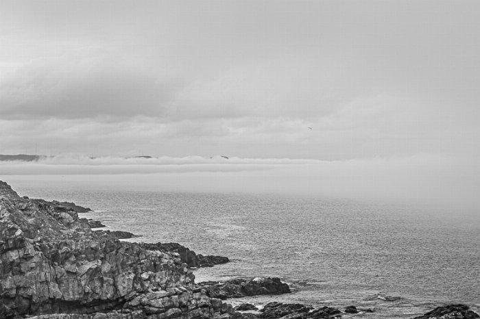 Cape Fog - Newfoundland art print