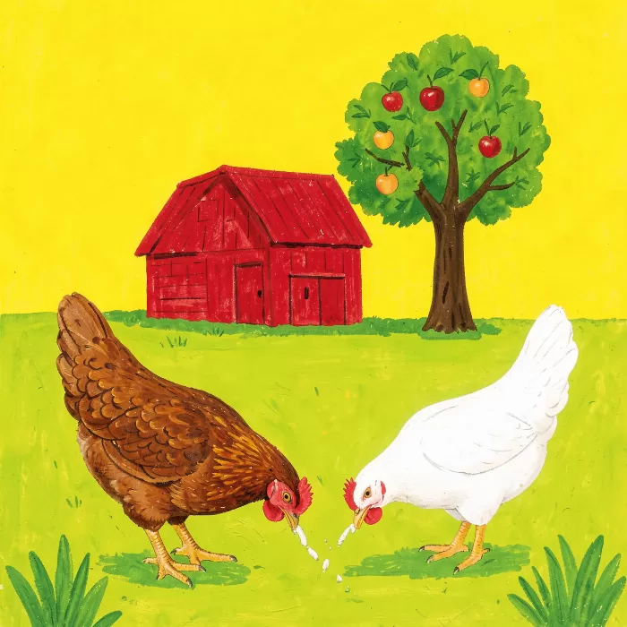 Hen House