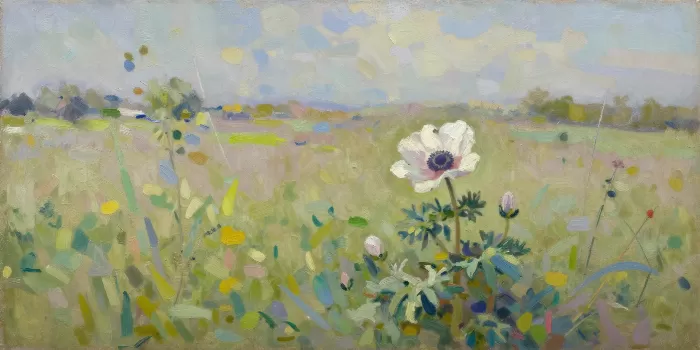 Anemone Field