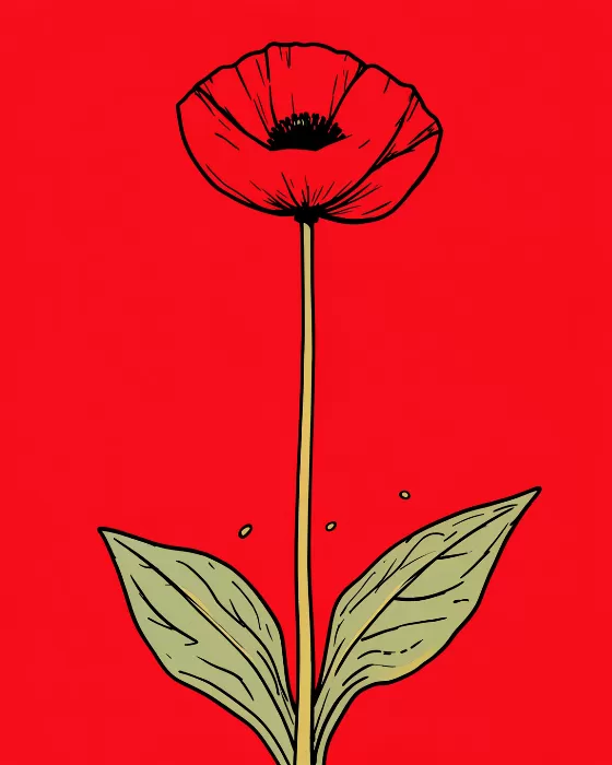 Bold Bloom