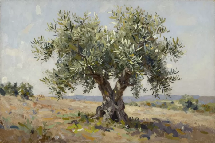 Olive Light