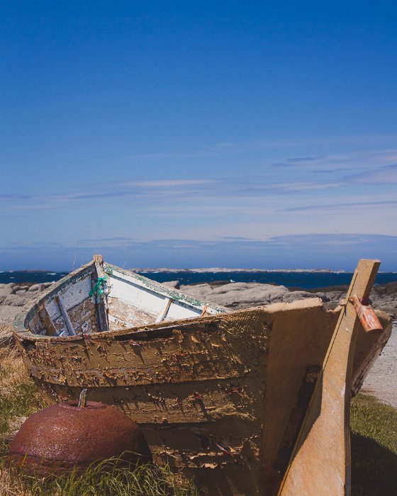 A Moment In Time - Newfoundland art print