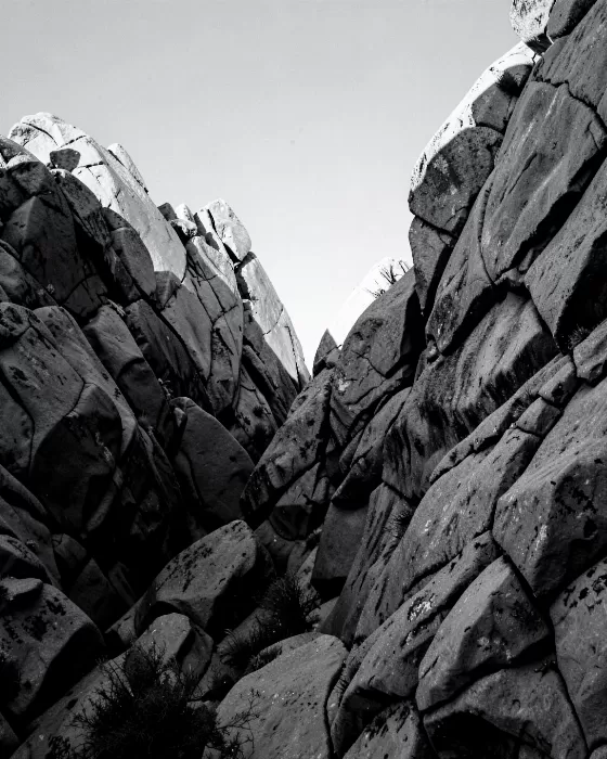 Joshua Divide