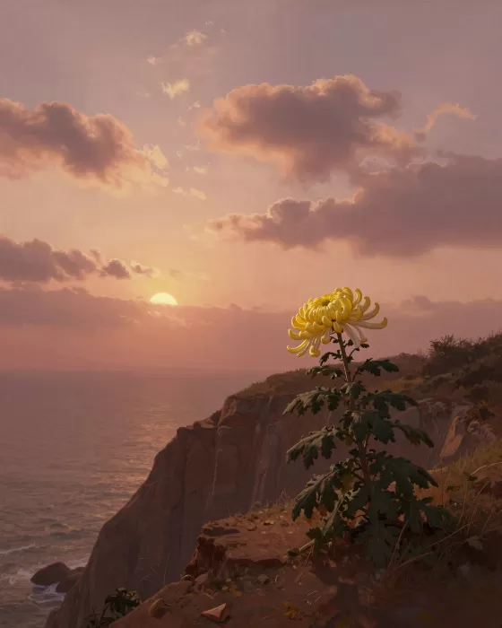 Coastal Chrysanthemum
