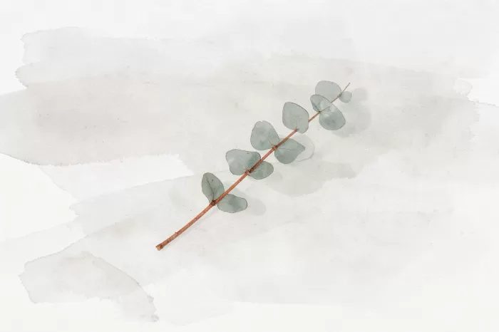 Rust Sprig