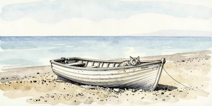Shoreline Nap