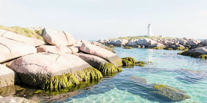 Peggy's Shore