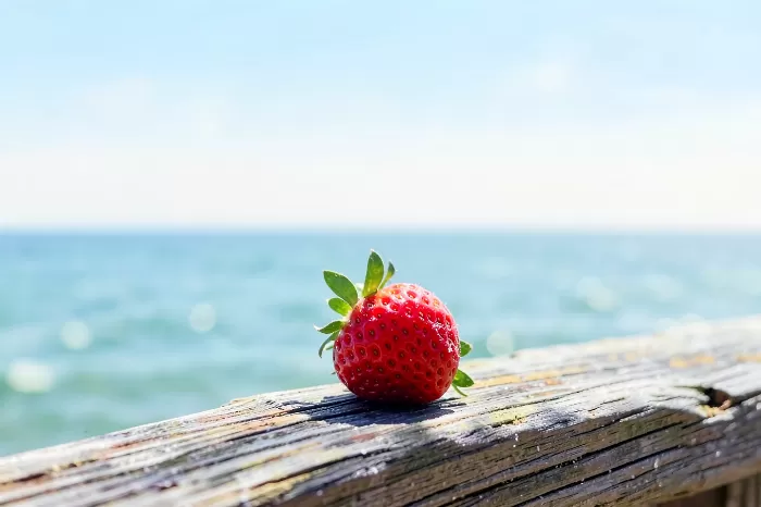 Sea Berry