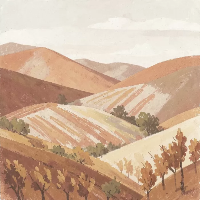 Sun Baked Hills