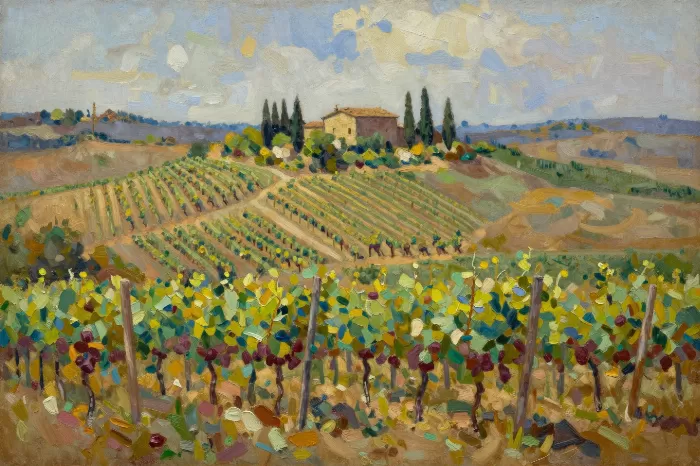 Tuscan Vineyard