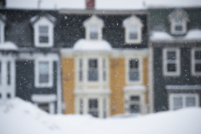Snow Row - Newfoundland art print