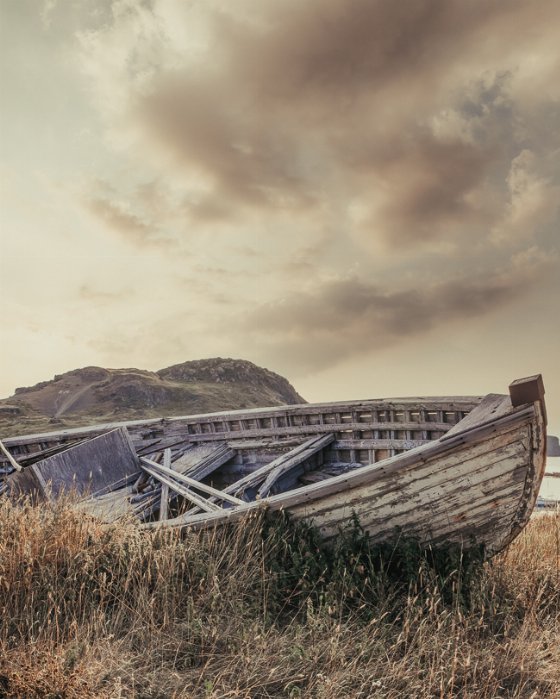 Resting Ashore - Newfoundland art print