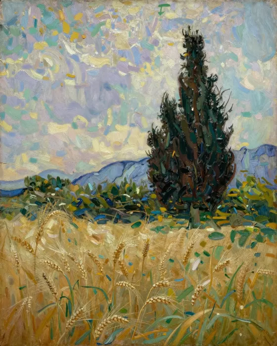 Cypress Evening
