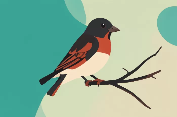 Sparrow Perch