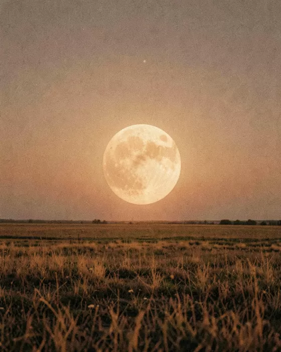 Amber Moon