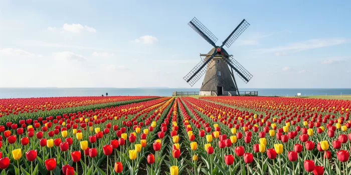 Coastal Windmill