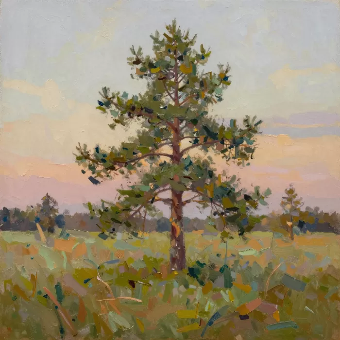 Pine At Dusk