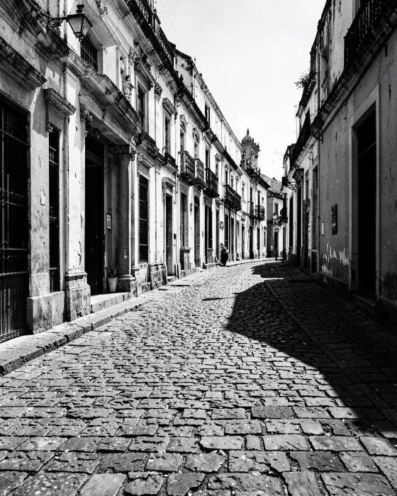 Colonial Shadows