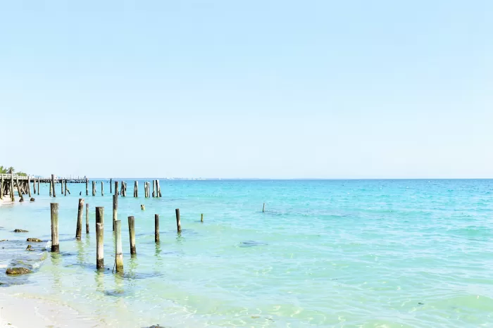 Quiet Pilings