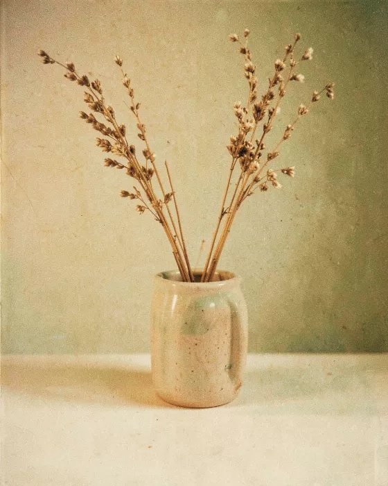 Quiet Vessel II