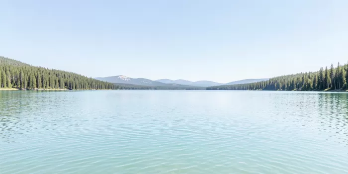 Yellowstone Calm