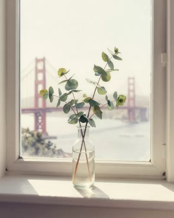 Foglight Sprig
