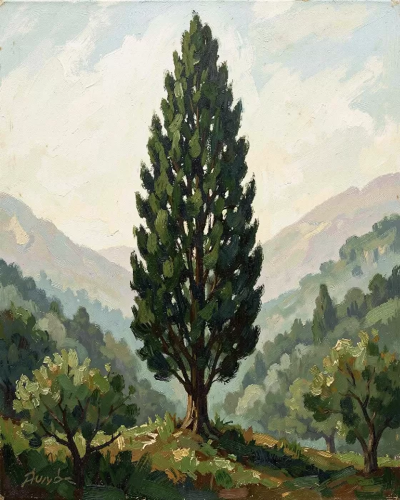 Cypress Rising