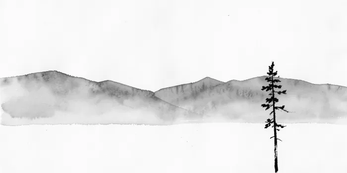 Mist Mountain
