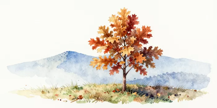 Ridge Sapling