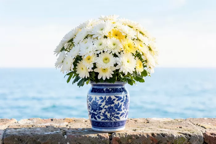 Coastal Chrysanthemums