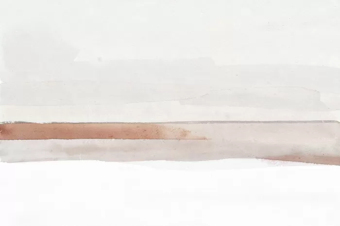Snow Bands
