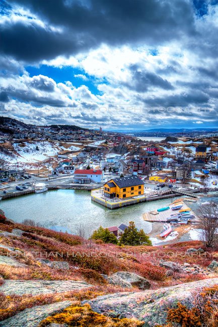 From The Trail - Newfoundland art print